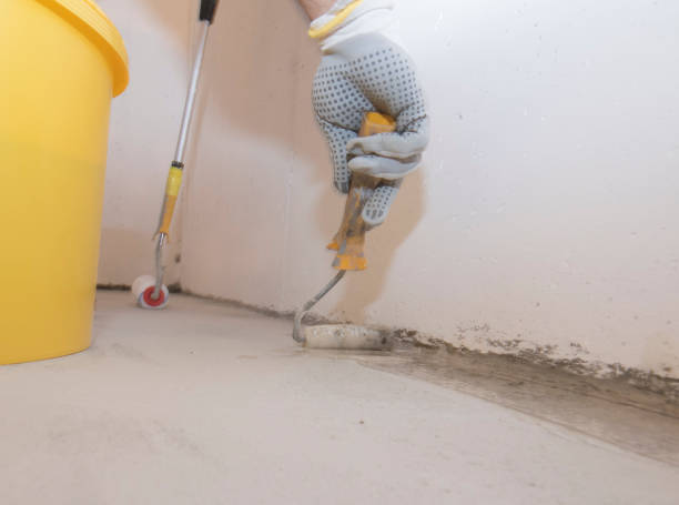 Best Pest Control for Multi-Family Homes  in Niagara Falls, NY